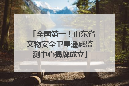 全国第一！山东省文物安全卫星遥感监测中心揭牌成立