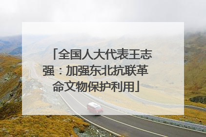 全国人大代表王志强：加强东北抗联革命文物保护利用