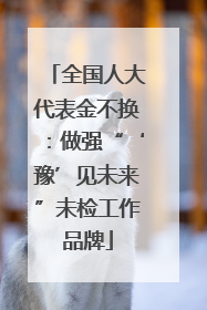 全国人大代表金不换：做强“‘豫’见未来”未检工作品牌