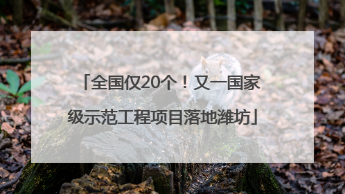 全国仅20个！又一国家级示范工程项目落地潍坊