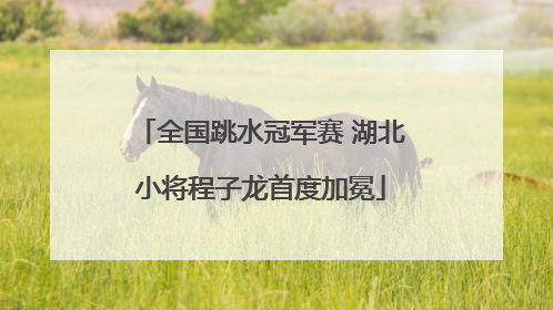 全国跳水冠军赛 湖北小将程子龙首度加冕