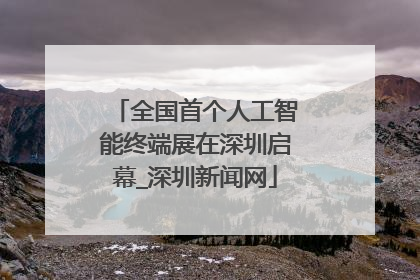 全国首个人工智能终端展在深圳启幕_深圳新闻网