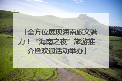 全方位展现海南旅文魅力！“海南之夜”旅游推介暨欢迎活动举办