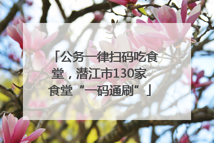 公务一律扫码吃食堂，潜江市130家食堂“一码通刷”