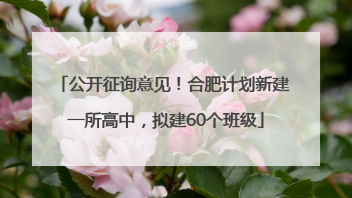 公开征询意见！合肥计划新建一所高中，拟建60个班级