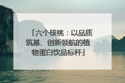 六个核桃：以品质筑基、创新领航的植物蛋白饮品标杆