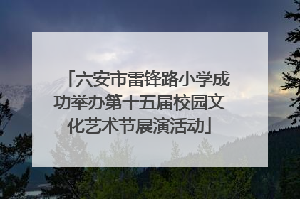 六安市雷锋路小学成功举办第十五届校园文化艺术节展演活动