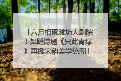 六月相聚潍坊大剧院！舞蹈诗剧《只此青绿》再掀宋韵美学热潮