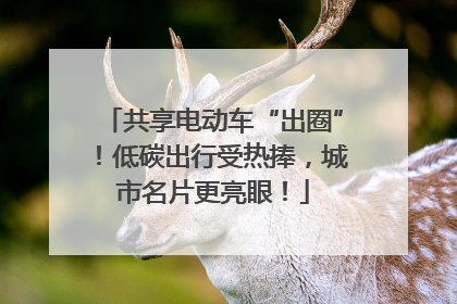 共享电动车“出圈”！低碳出行受热捧，城市名片更亮眼！