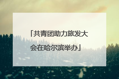 共青团助力旅发大会在哈尔滨举办