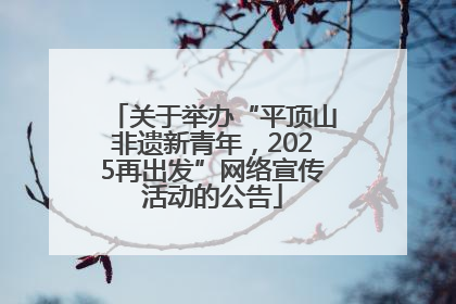 关于举办“平顶山非遗新青年，2025再出发”网络宣传活动的公告
