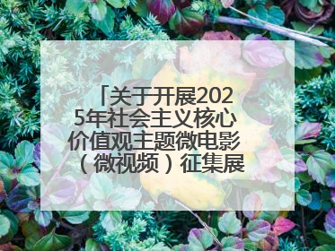 关于开展2025年社会主义核心价值观主题微电影（微视频）征集展示活动的公告