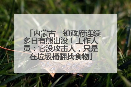 内蒙古一镇政府连续多日有熊出没！工作人员：它没攻击人，只是在垃圾桶翻找食物