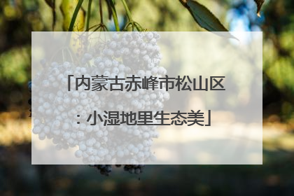 内蒙古赤峰市松山区：小湿地里生态美
