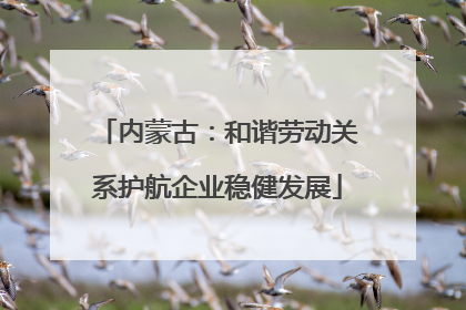 内蒙古：和谐劳动关系护航企业稳健发展