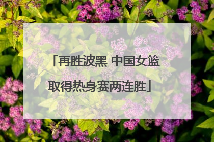 再胜波黑 中国女篮取得热身赛两连胜