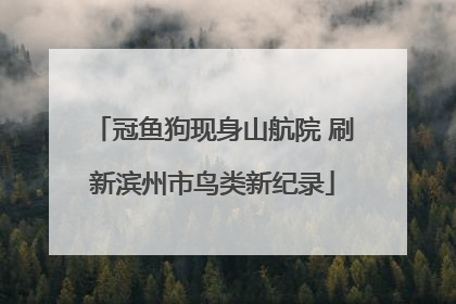 冠鱼狗现身山航院 刷新滨州市鸟类新纪录