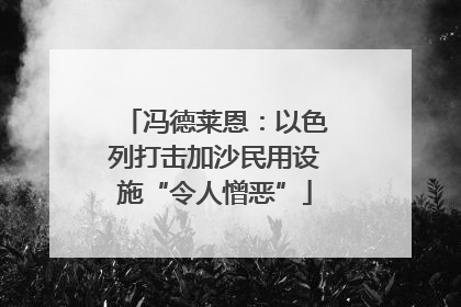 冯德莱恩：以色列打击加沙民用设施“令人憎恶”