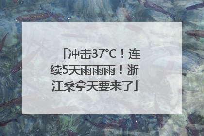 冲击37℃！连续5天雨雨雨！浙江桑拿天要来了
