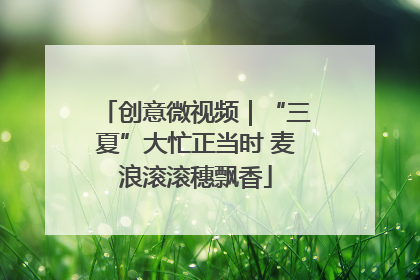 创意微视频｜“三夏”大忙正当时 麦浪滚滚穗飘香