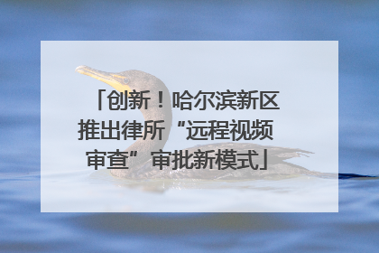 创新！哈尔滨新区推出律所“远程视频审查”审批新模式