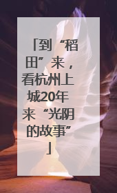 到“稻田”来，看杭州上城20年来“光阴的故事”