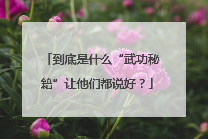 到底是什么“武功秘籍”让他们都说好？