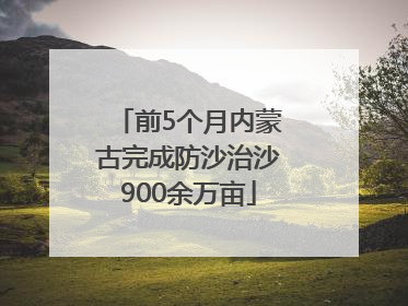 前5个月内蒙古完成防沙治沙900余万亩