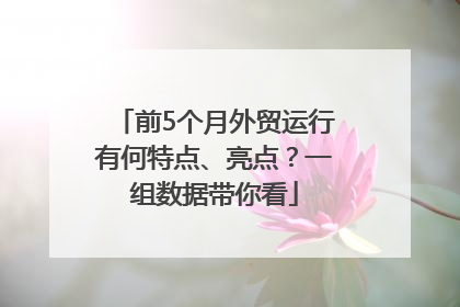 前5个月外贸运行有何特点、亮点？一组数据带你看