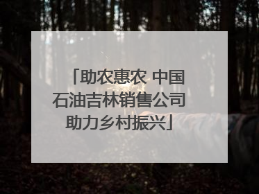 助农惠农 中国石油吉林销售公司助力乡村振兴
