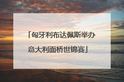 匈牙利布达佩斯举办意大利面桥世锦赛