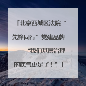 北京西城区法院“先锋同行”党建品牌——“我们基层治理的底气更足了！”