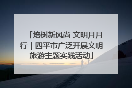 培树新风尚 文明月月行｜四平市广泛开展文明旅游主题实践活动