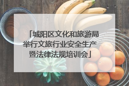 城阳区文化和旅游局举行文旅行业安全生产暨法律法规培训会
