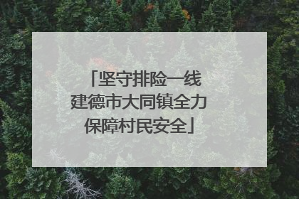 坚守排险一线 建德市大同镇全力保障村民安全