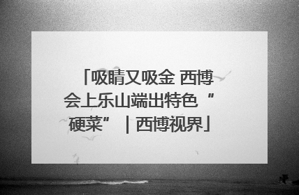 吸睛又吸金 西博会上乐山端出特色“硬菜”｜西博视界