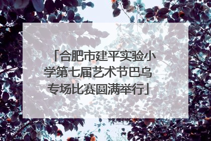 合肥市建平实验小学第七届艺术节巴乌专场比赛圆满举行
