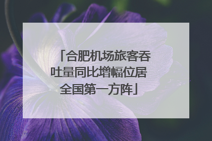 合肥机场旅客吞吐量同比增幅位居全国第一方阵