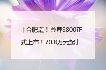 合肥造！尊界S800正式上市！70.8万元起