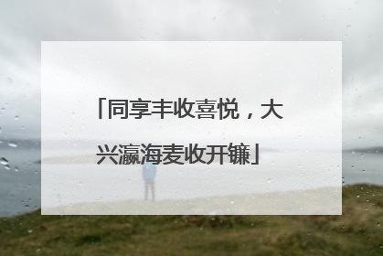 同享丰收喜悦，大兴瀛海麦收开镰