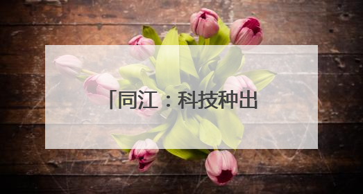 同江：科技种出“红宝石”鼓起村民“钱袋子”