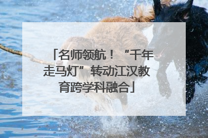 名师领航！“千年走马灯”转动江汉教育跨学科融合