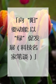 向“阳”要动能 以“绿”促发展（科技名家笔谈）