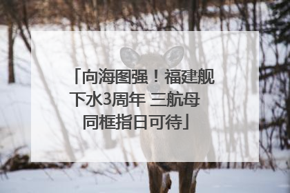 向海图强！福建舰下水3周年 三航母同框指日可待