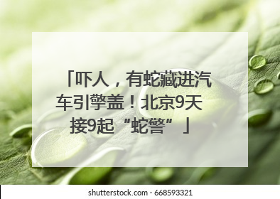 吓人，有蛇藏进汽车引擎盖！北京9天接9起“蛇警”