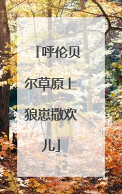呼伦贝尔草原上狼崽撒欢儿