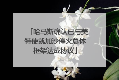 哈马斯确认已与美特使就加沙停火总体框架达成协议