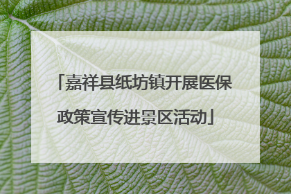 嘉祥县纸坊镇开展医保政策宣传进景区活动