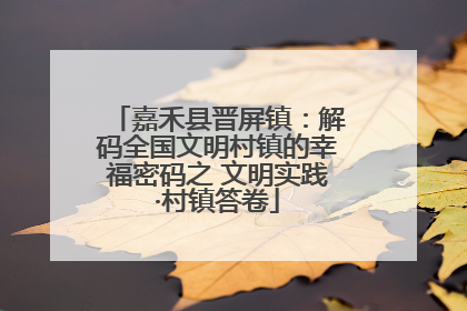 嘉禾县晋屏镇：解码全国文明村镇的幸福密码之 文明实践·村镇答卷