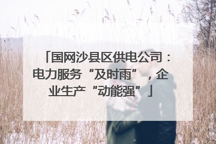 国网沙县区供电公司：电力服务“及时雨”，企业生产“动能强”